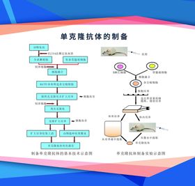 物理知识展板图片