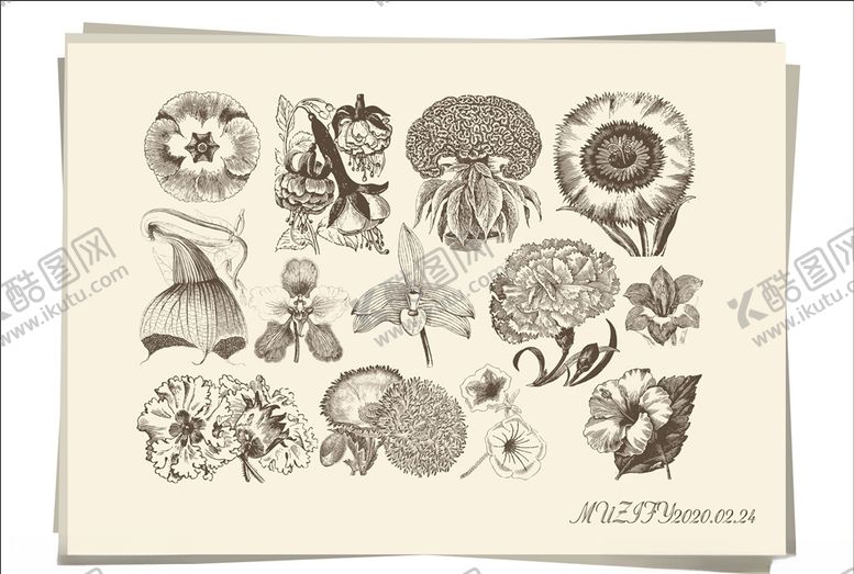 编号：23226010141609596061【酷图网】源文件下载-13款入花朵手绘稿