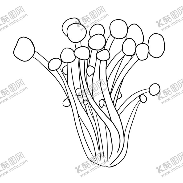 编号：55945709202311015115【酷图网】源文件下载-茶树菇