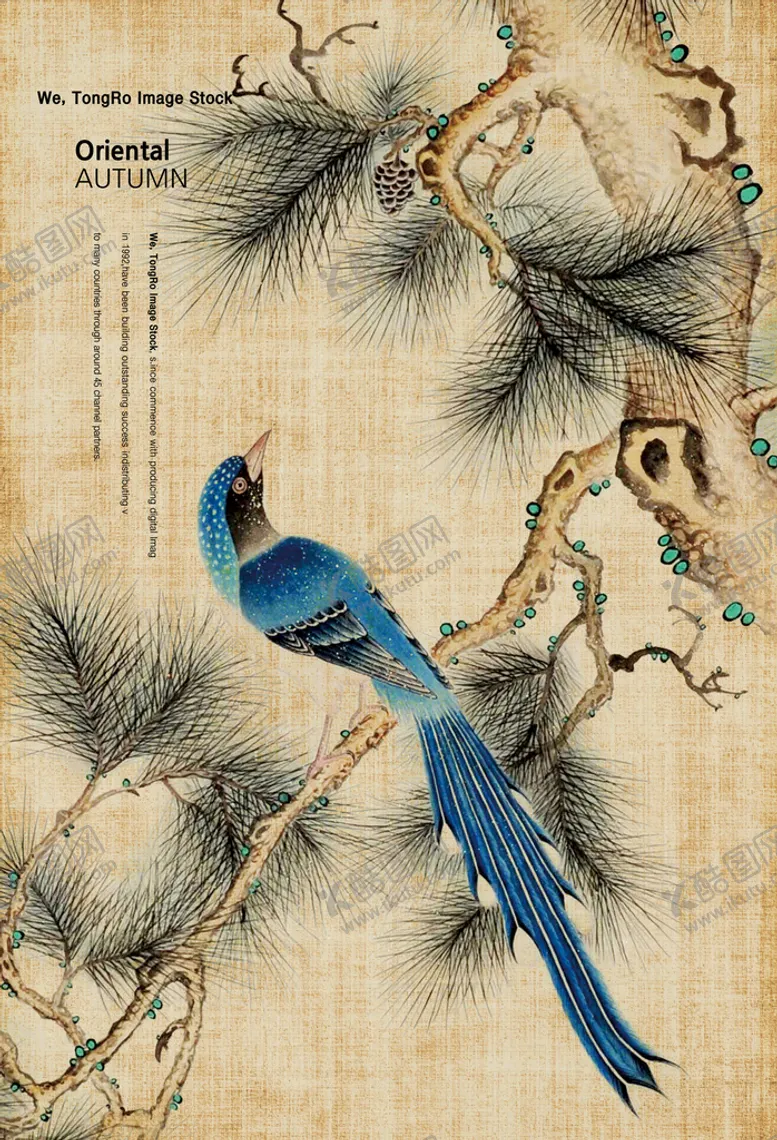 编号：02581909151105061520【酷图网】源文件下载-工笔画没有图层