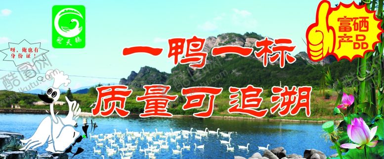 编号：72034306300535406250【酷图网】源文件下载-连城白鸭
