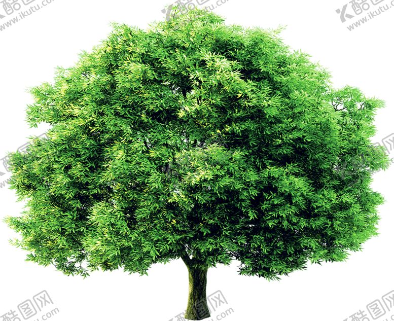 编号：85781410072144572191【酷图网】源文件下载-植物