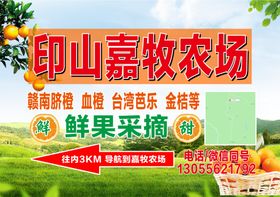 印山嘉牧农场鲜果采摘