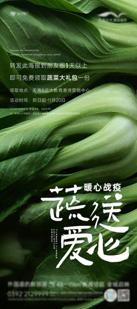 送蔬菜活动海报