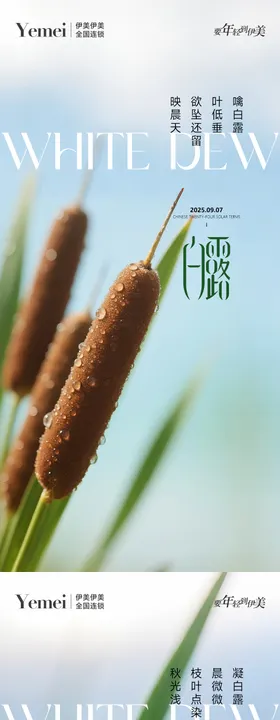 医美白露节气系列海报