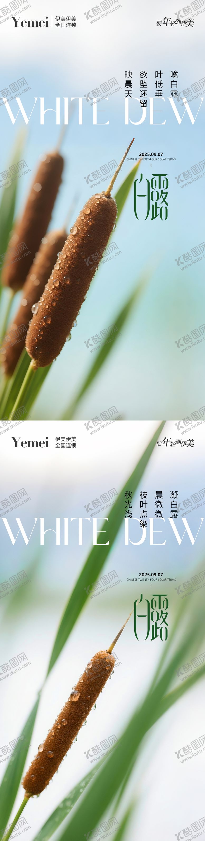 编号：92326609041008118747【酷图网】源文件下载-医美白露节气系列海报