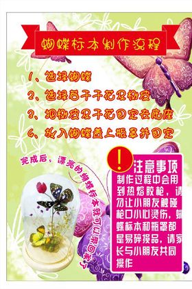 蝴蝶标本