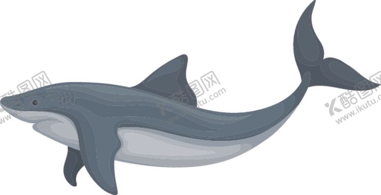 编号：20702509130713495192【酷图网】源文件下载-鲨鱼