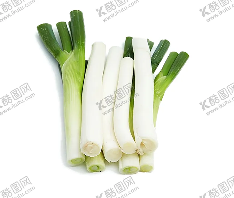编号：45881206280337104040【酷图网】源文件下载-绿色植物