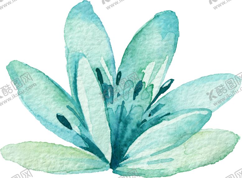 编号：71132909222141432694【酷图网】源文件下载-水彩手绘花卉花朵植物