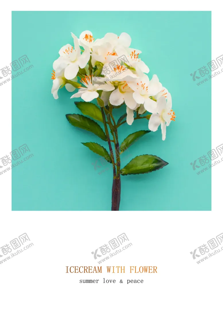 编号：65087011231822517765【酷图网】源文件下载-花枝唯美艺术挂画装饰画