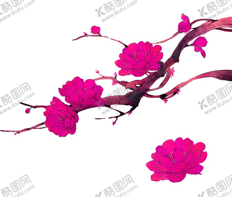 编号：14644905041751386894【酷图网】源文件下载-鲜花素材
