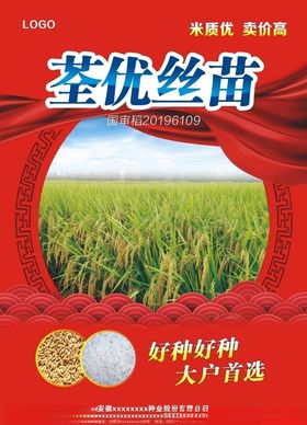 水稻大米