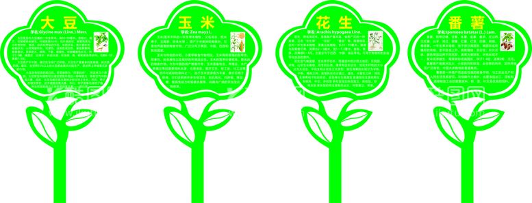 编号：65576911252137365245【酷图网】源文件下载-植物牌