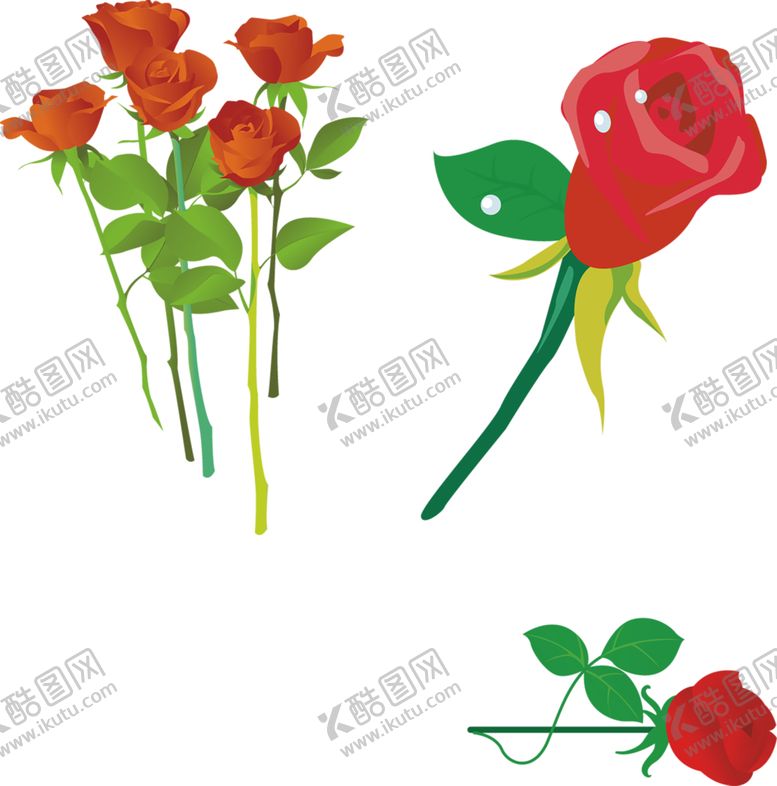 编号：90734005131754011101【酷图网】源文件下载-鲜花素材