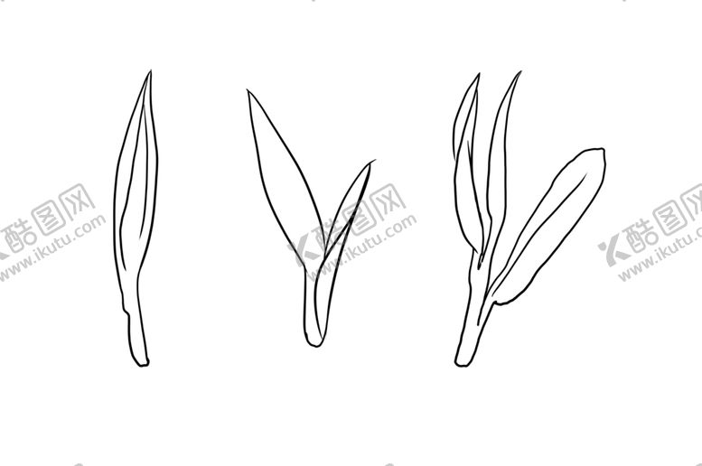 编号：84506909300539556231【酷图网】源文件下载-茶叶