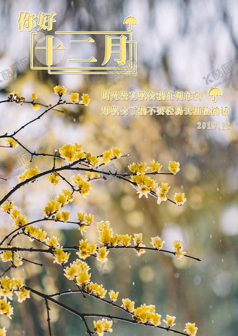 编号：65850009161452103462【酷图网】源文件下载-你好12月