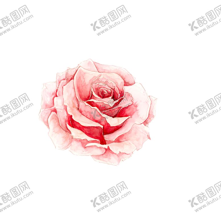 编号：59749607081941383418【酷图网】源文件下载-水彩画花包装素材插画浪