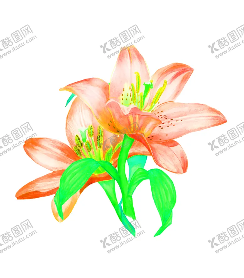 编号：92292706281511406295【酷图网】源文件下载-花素材