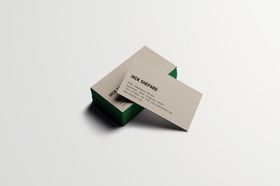 logo样机效果图VIvi效果
