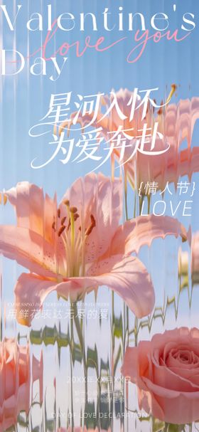 星河入怀为爱奔赴海报