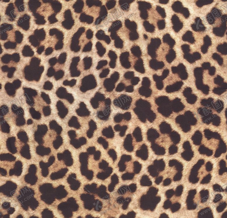 编号：45200909271734161048【酷图网】源文件下载-豹纹