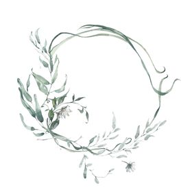 小清新水彩植物树枝
