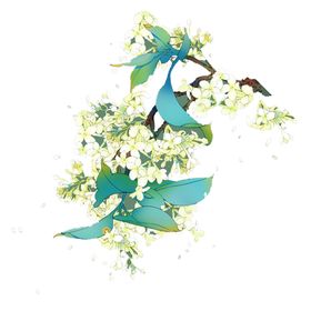 绿色植物小清新树叶室内背景墙效果图