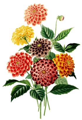 复古鲜花主题装饰图案