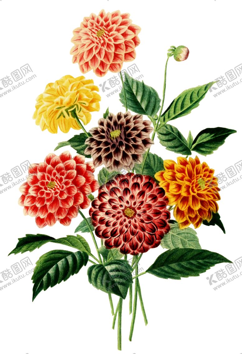 编号：95751607061139129390【酷图网】源文件下载-复古鲜花主题装饰图案