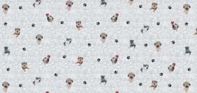 可爱小狗图案的白色背景图