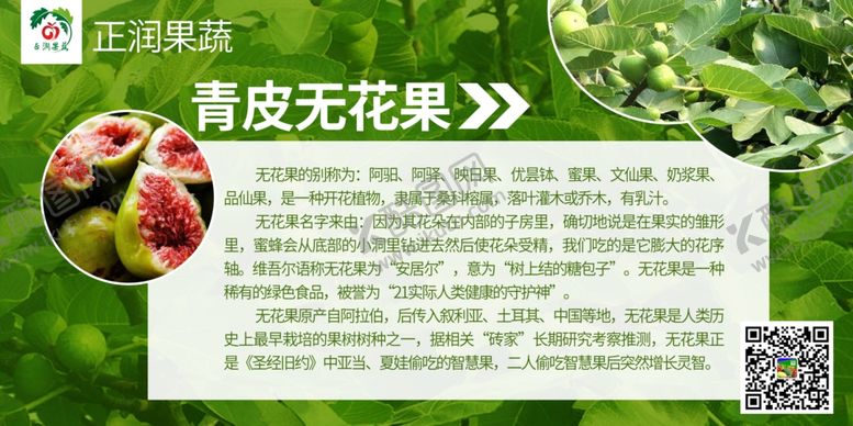 编号：10425109251706437203【酷图网】源文件下载-水果宣传展板