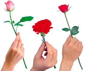 玫瑰花手势