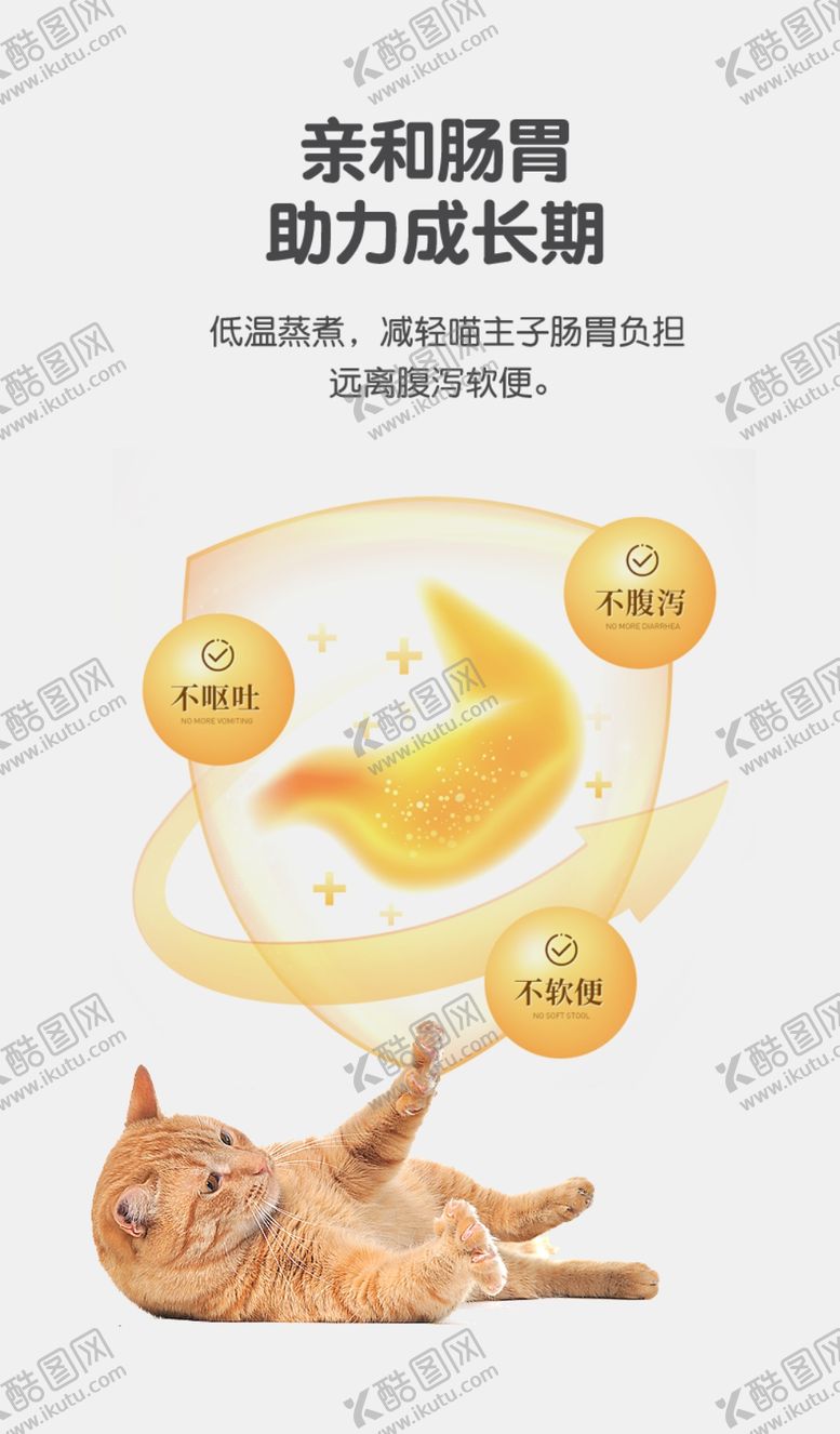 编号：92409701190120166907【酷图网】源文件下载-猫粮