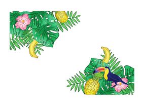 花边素材