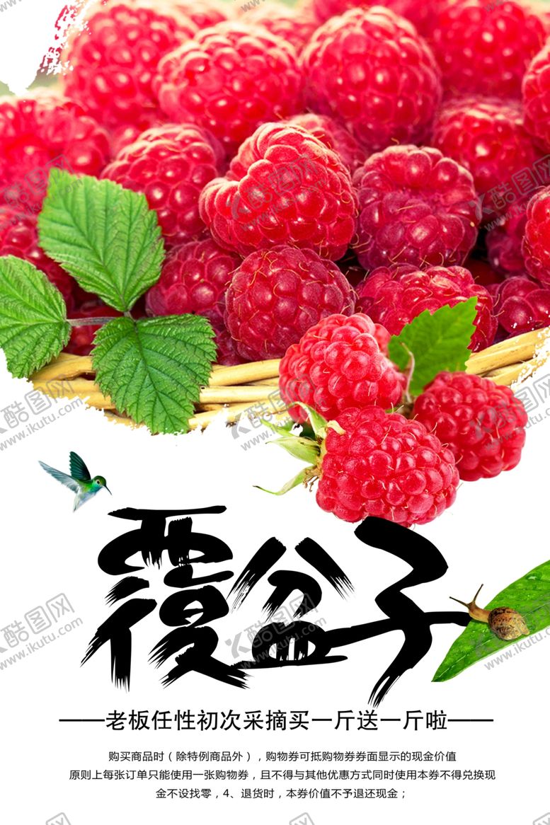 编号：52482701290919015541【酷图网】源文件下载-覆盆子