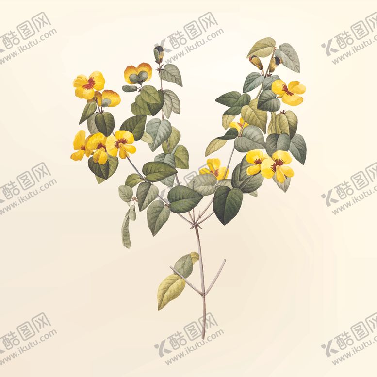 编号：14722406271540208155【酷图网】源文件下载-花纹