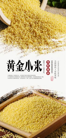 黄金谷小米海报