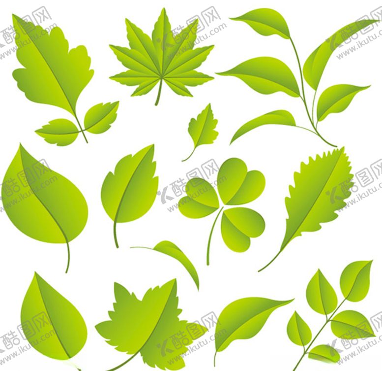 编号：50819010311024565688【酷图网】源文件下载-手绘绿色树叶