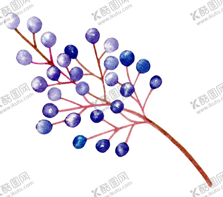 编号：91798209240117286761【酷图网】源文件下载-水彩植物