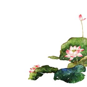 中国风山水荷花手绘画