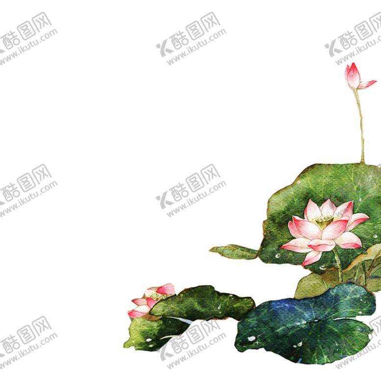 编号：97906307041356494569【酷图网】源文件下载-中国风荷叶荷花绘画