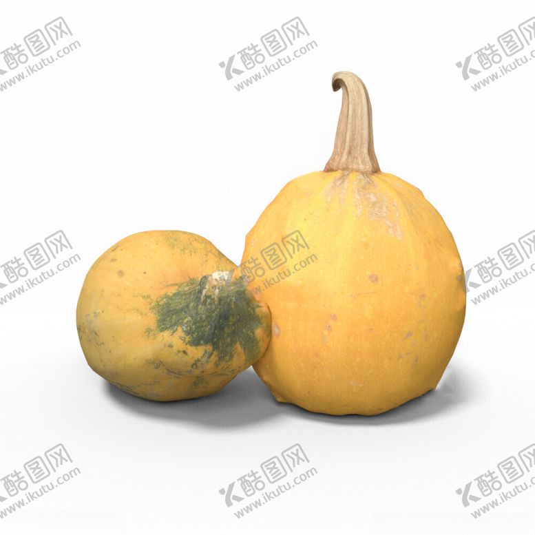 编号：42808102211450545454【酷图网】源文件下载-C4D模型南瓜