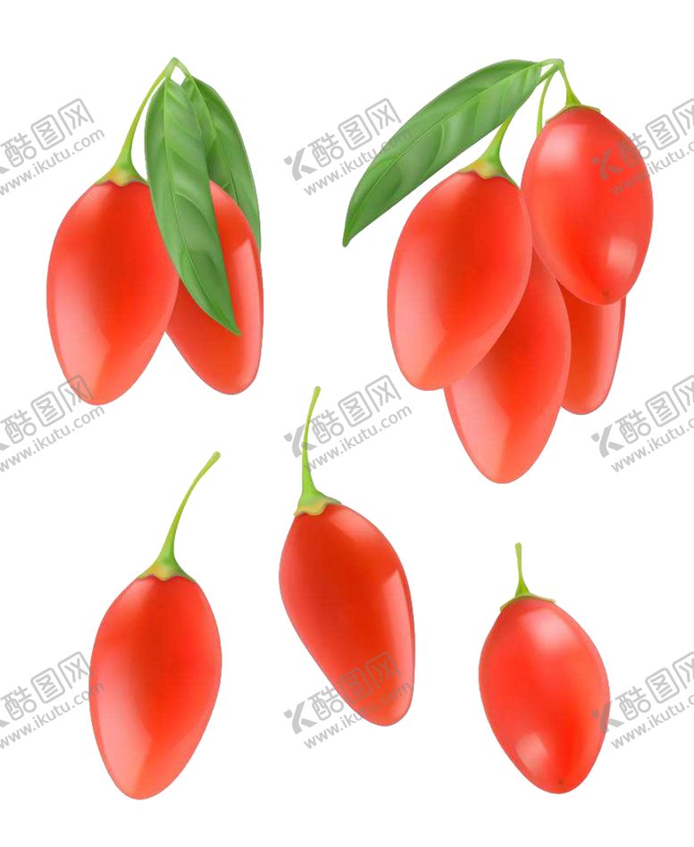 编号：82861906270919547576【酷图网】源文件下载-手绘枸杞