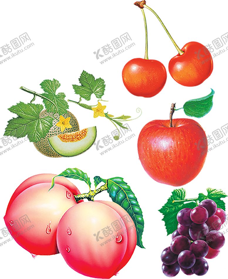 编号：73528910300739161950【酷图网】源文件下载-水果