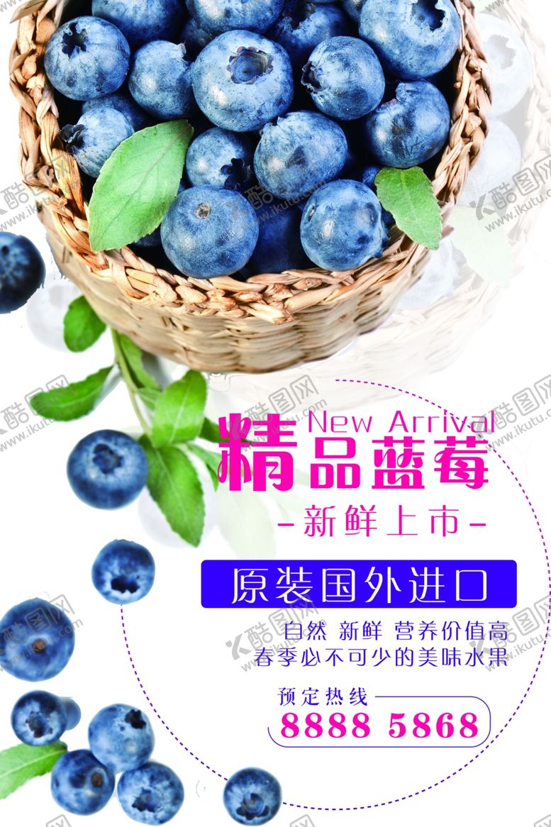 编号：89836904261728223019【酷图网】源文件下载-蓝莓海报