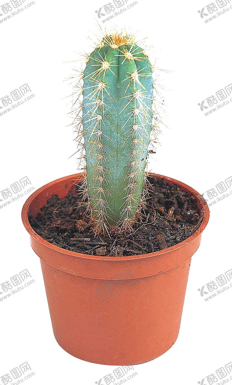 编号：59747810300228388351【酷图网】源文件下载-绿色装饰