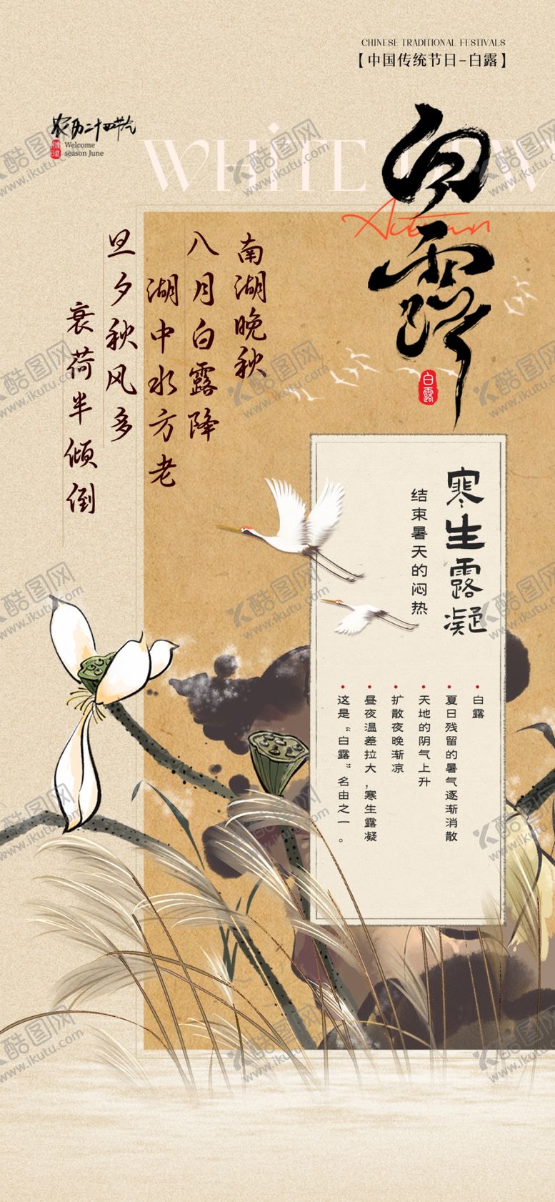 编号：16347802210008182912【酷图网】源文件下载-白露海报