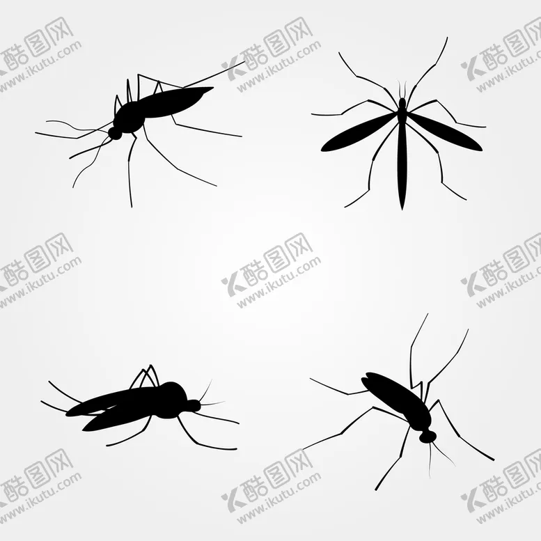 编号：61131310171911085410【酷图网】源文件下载-蚊子相关 