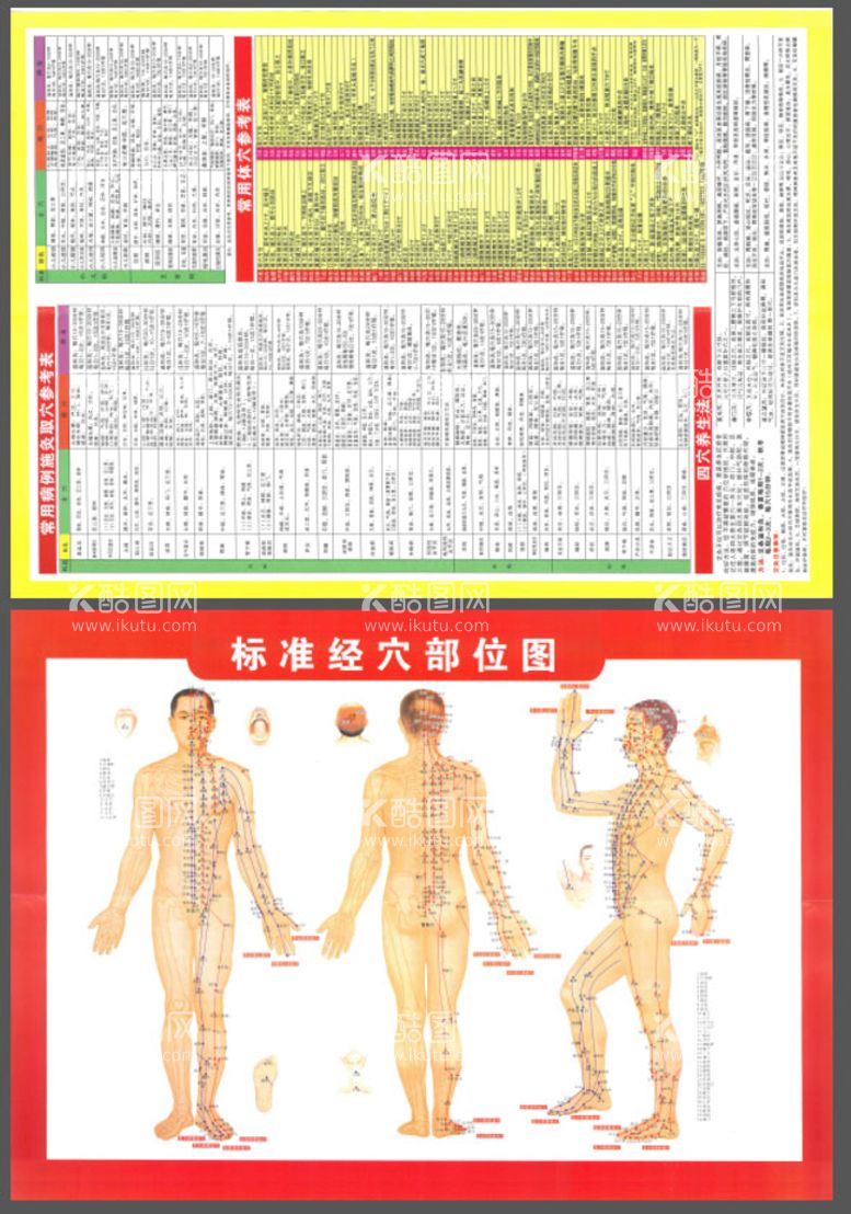 编号：52071611262044453295【酷图网】源文件下载-穴位图扫描件38x52cm